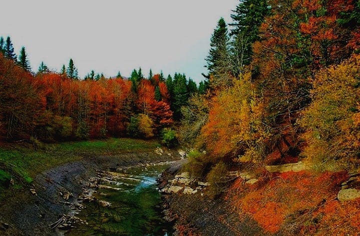 Casa Rural Burret — 2