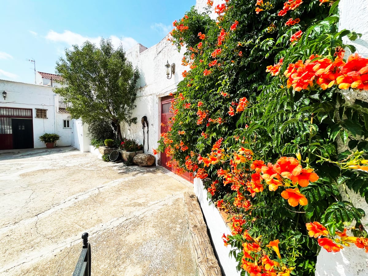 Casa Rural “El Porche de Octaviano” — 3