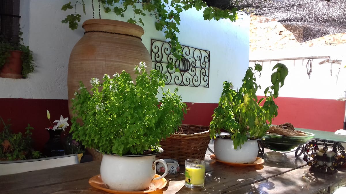 Casa Rural “Los Emilietes” — 1