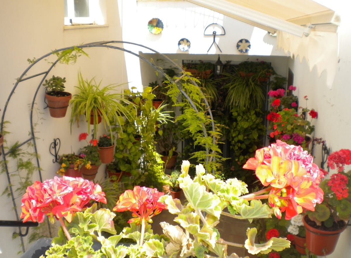 Casa en Cabo de Gata — 2