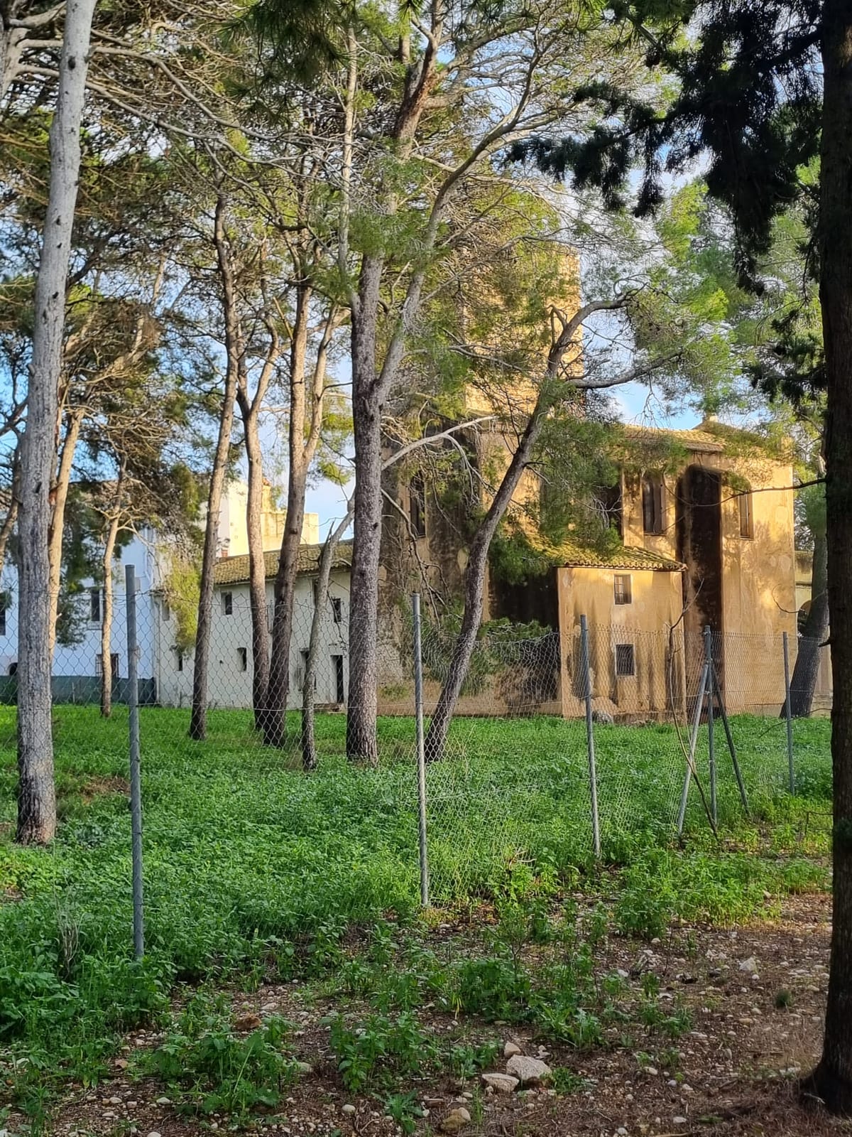 Castell Granadella — 2