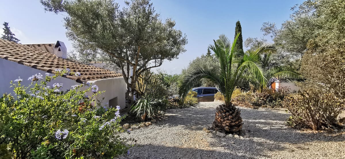 Finca de Sauco — 3