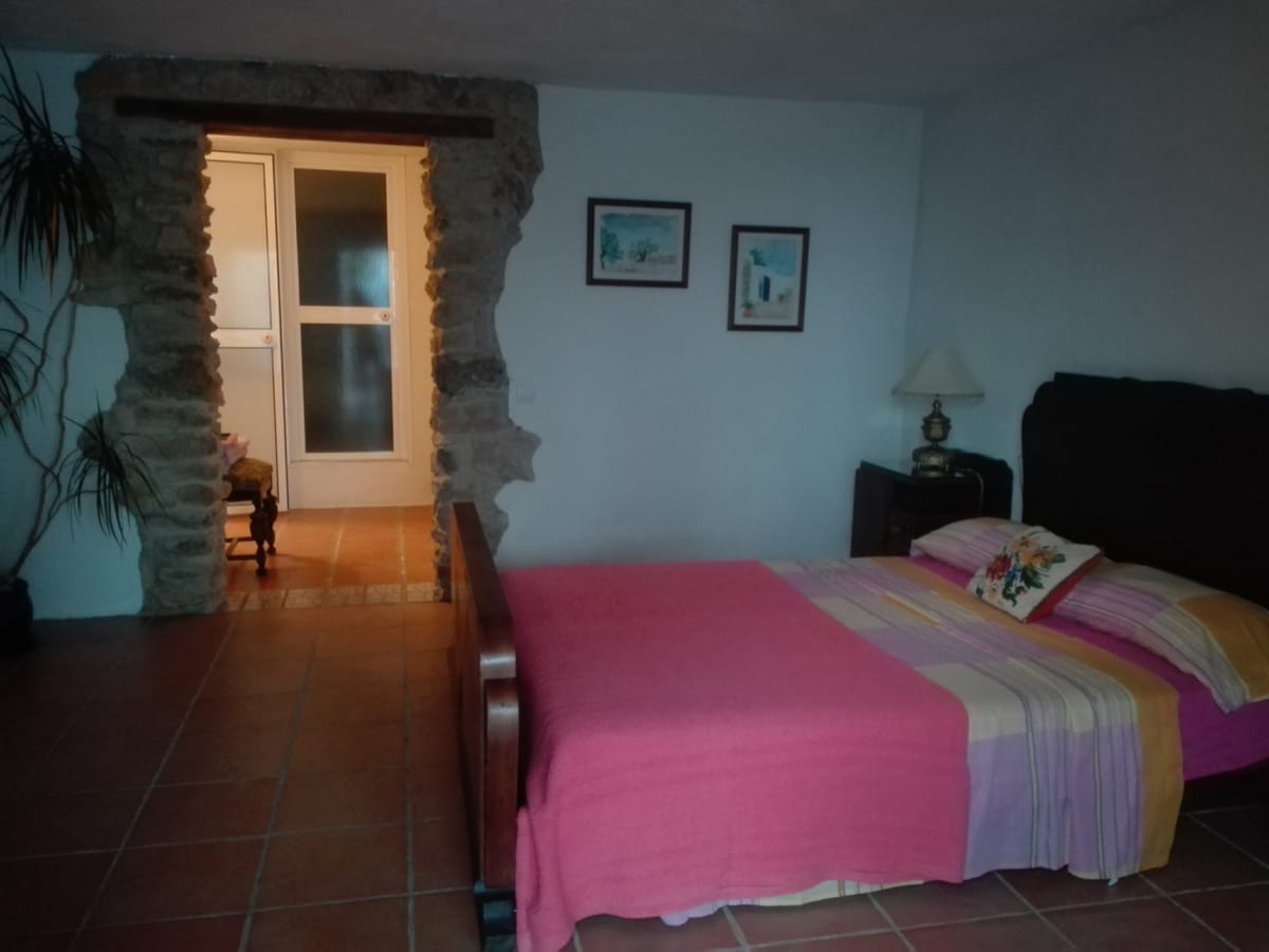 Finca de Sauco — 4