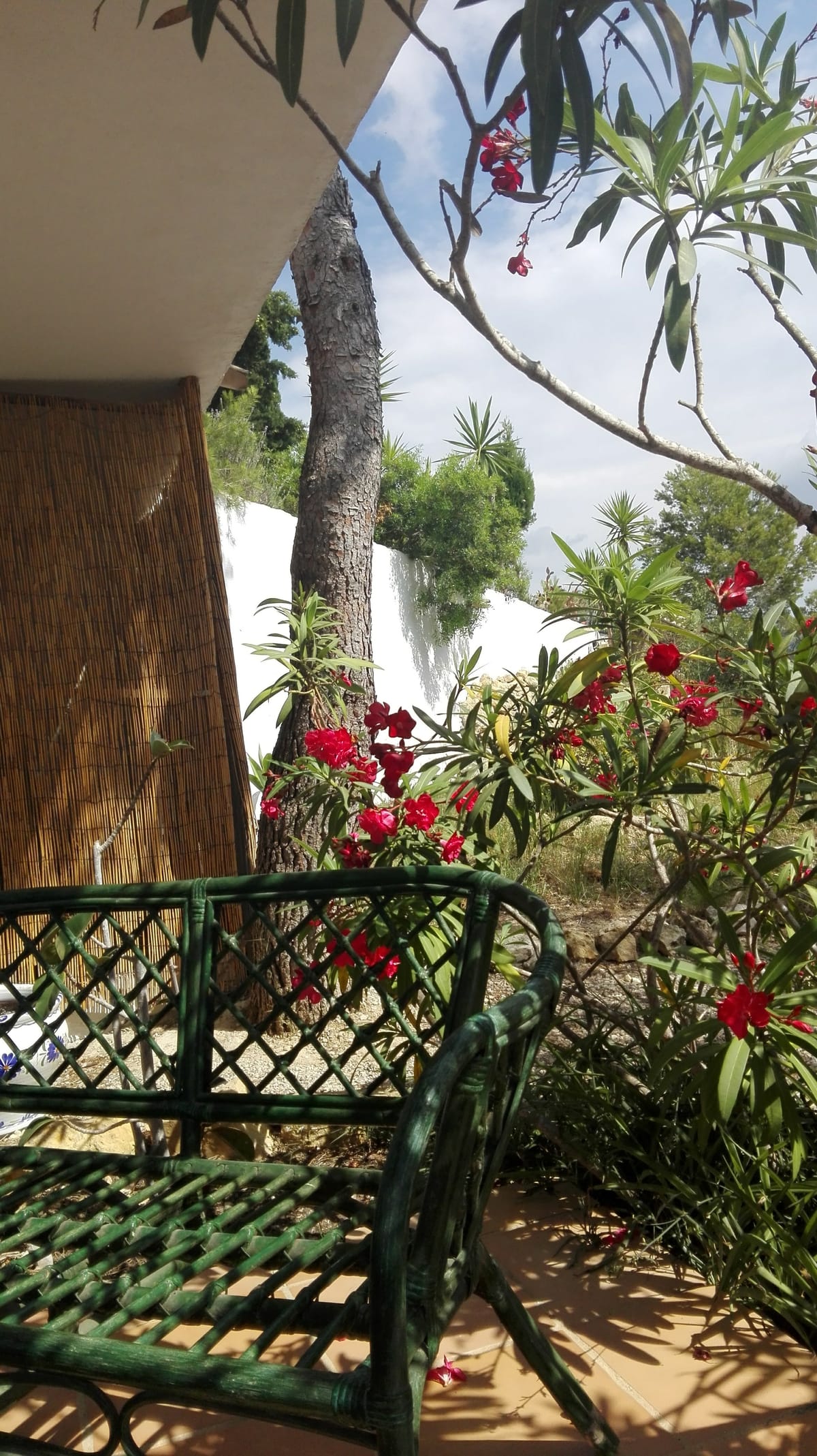 Finca de Sauco — 5