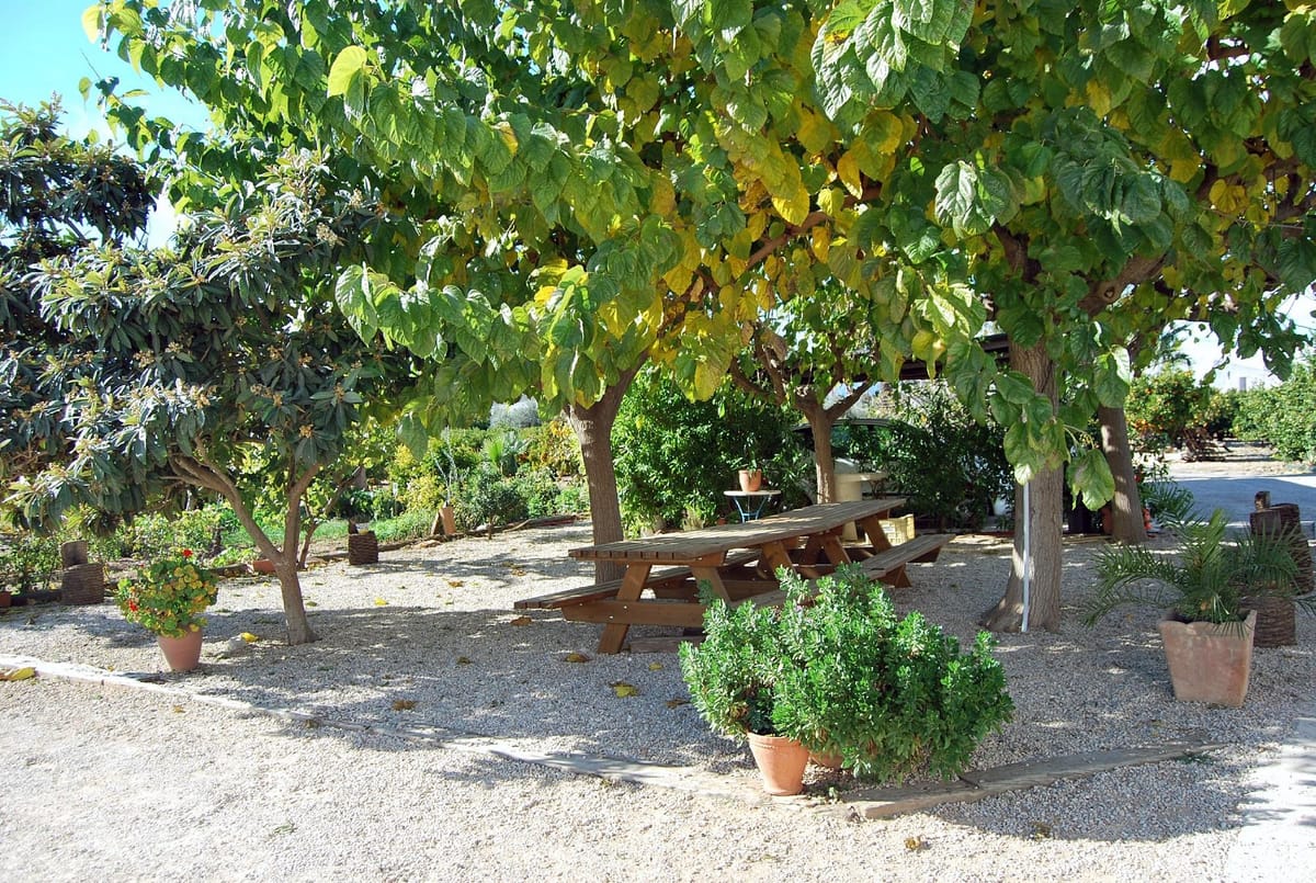 Hostal dels Frares — 3