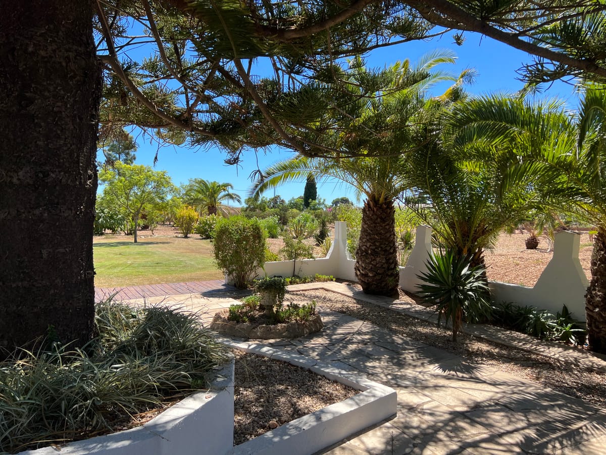 Las Palmeras — 1