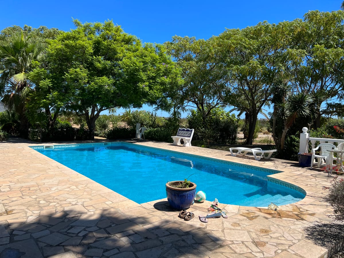 Las Palmeras — 2