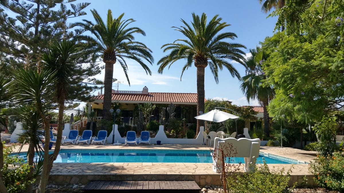 Las Palmeras — 3