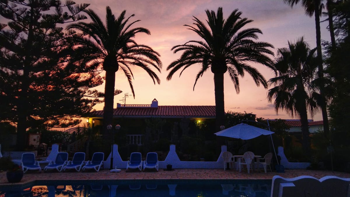 Las Palmeras — 4