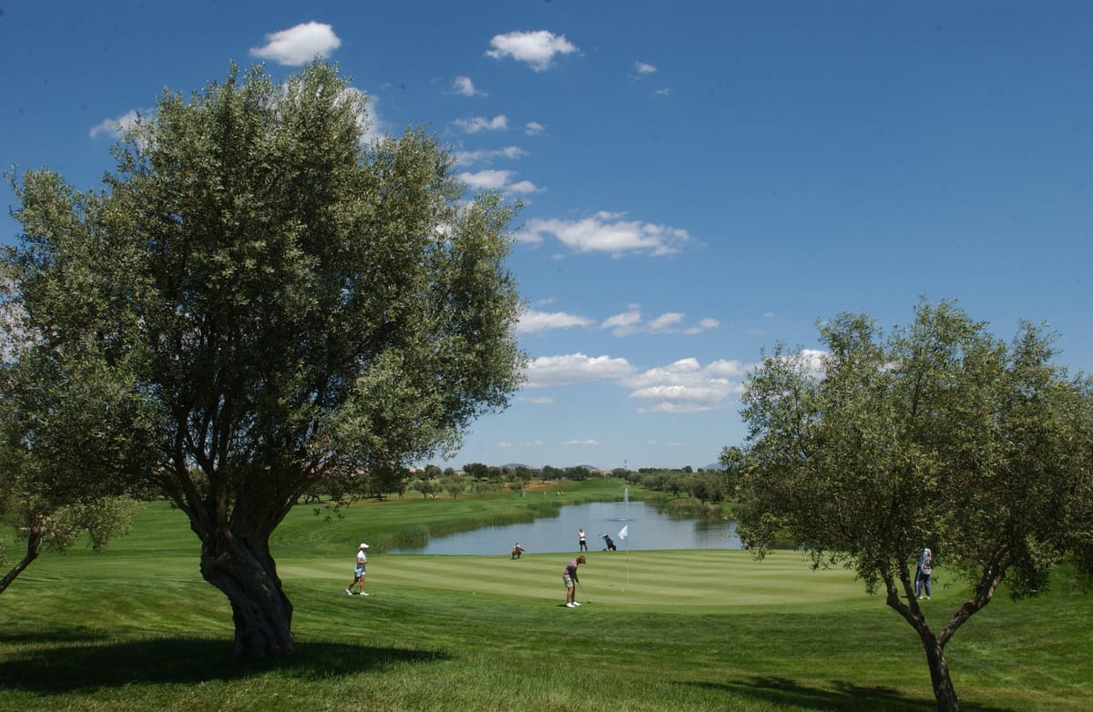Panoramica Golf — 4