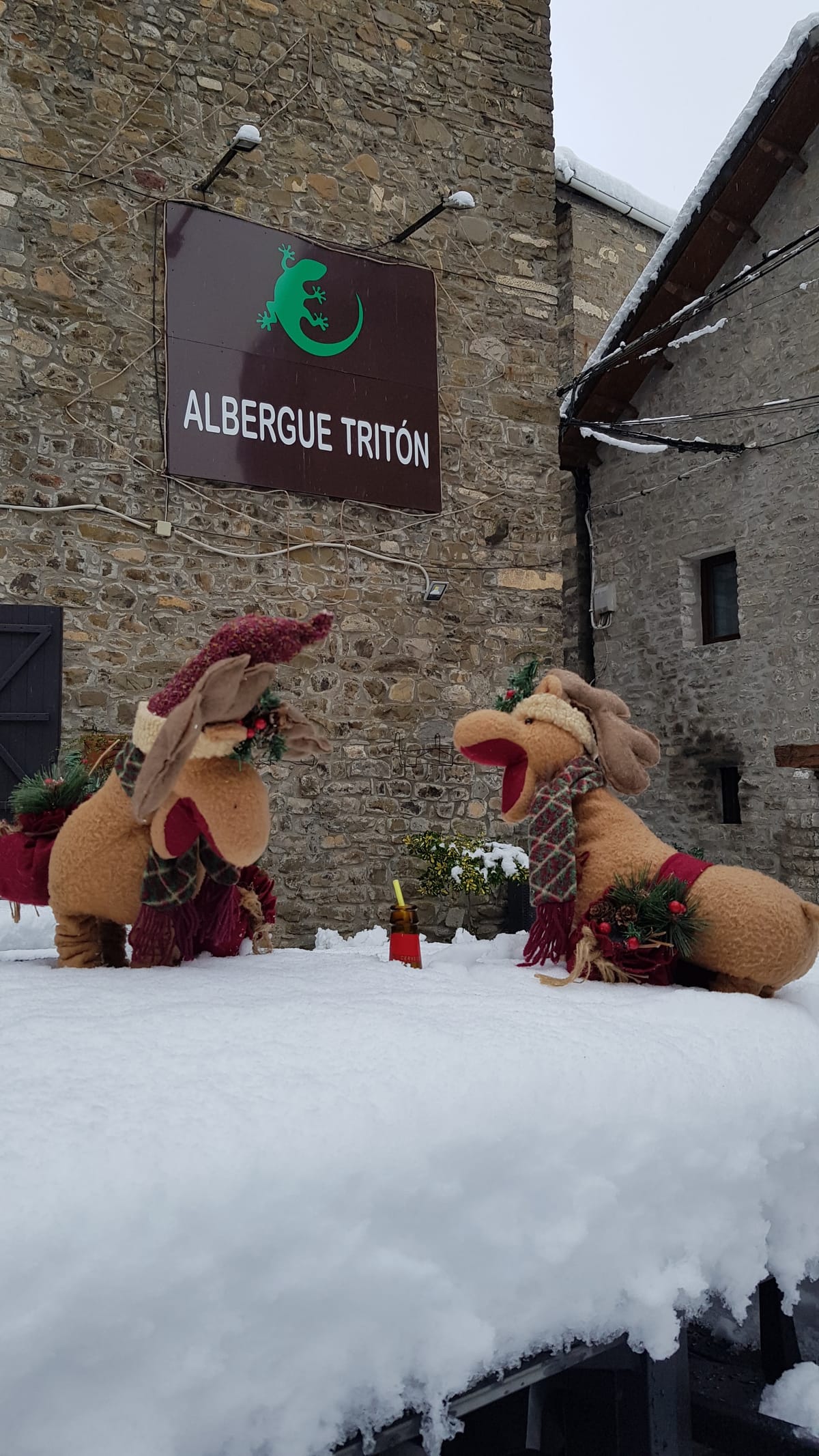 Albergue Tritón — 4