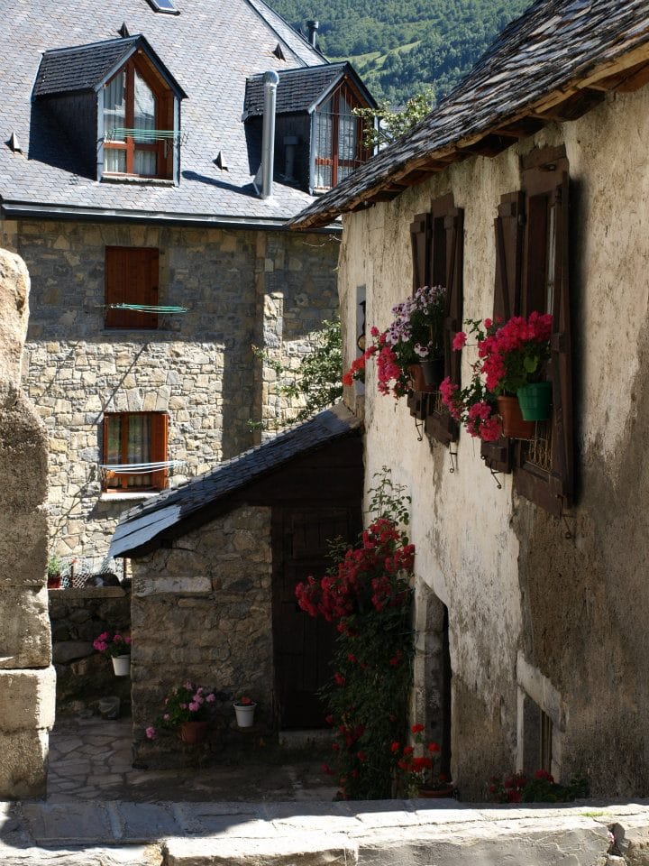 Hotel & Spa Bocalé Sallent de Gallego — 4