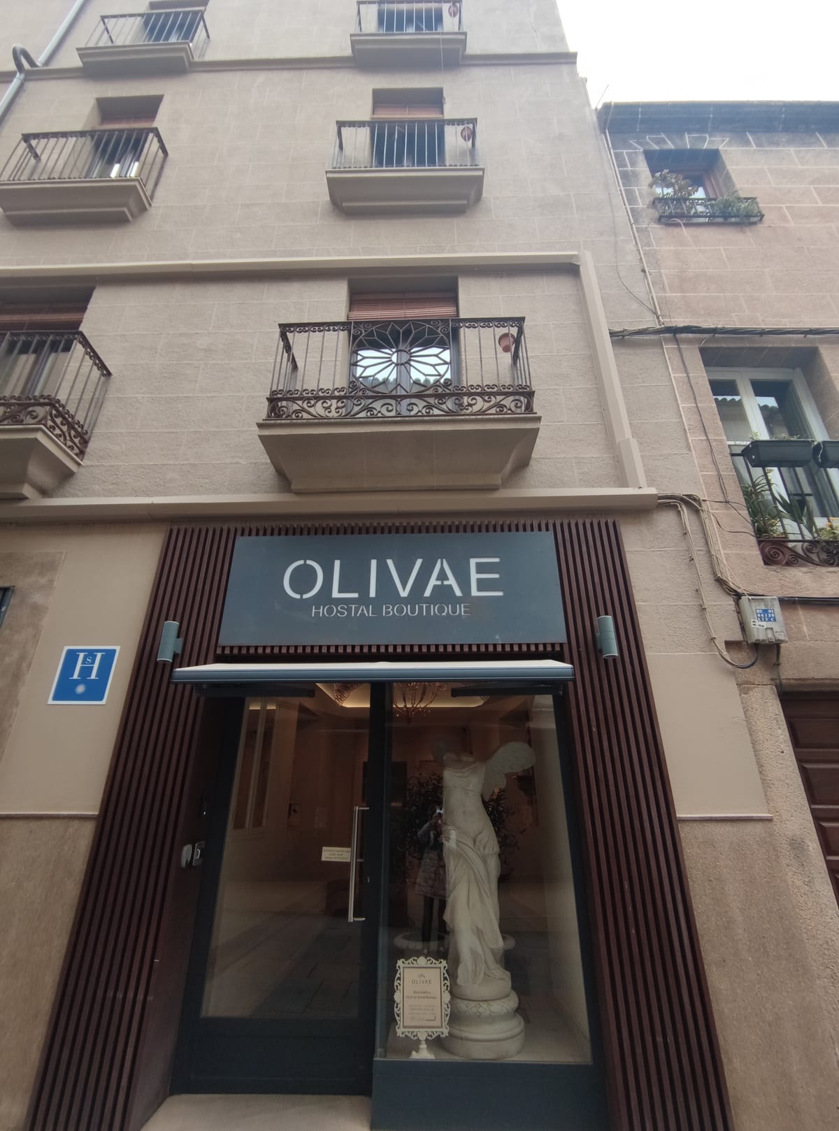 OLIVAE Hostal Boutique — 4